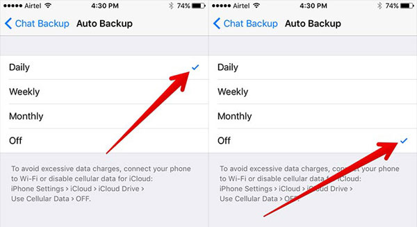 Apague la copia de seguridad automática de iCloud