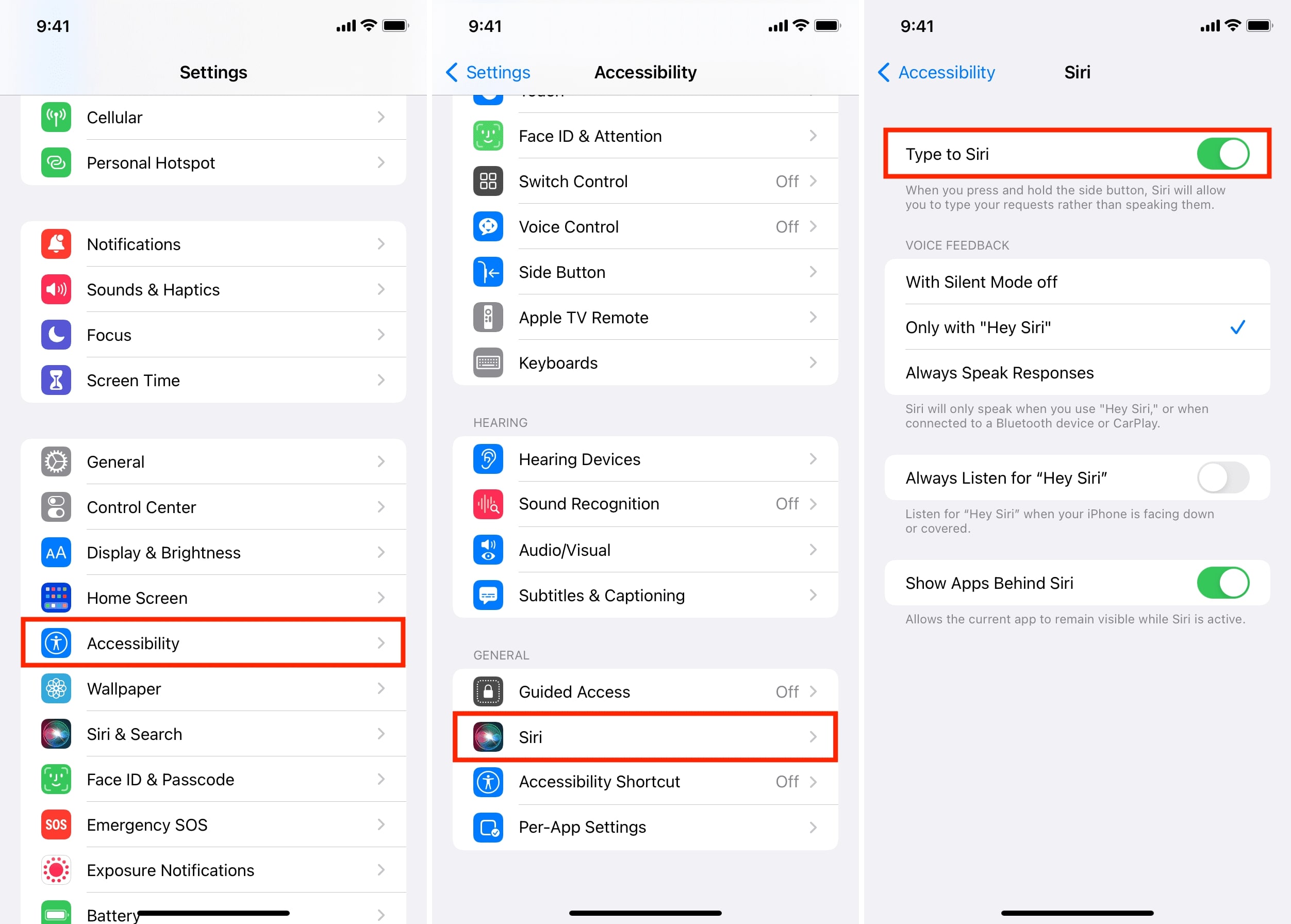 habilitar el tipo de función a Siri