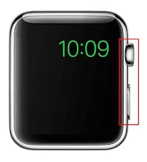 reiniciar Apple Watch