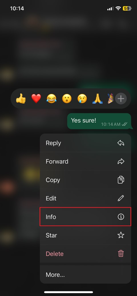 Mantenga el mensaje para seleccionar información en iPhone