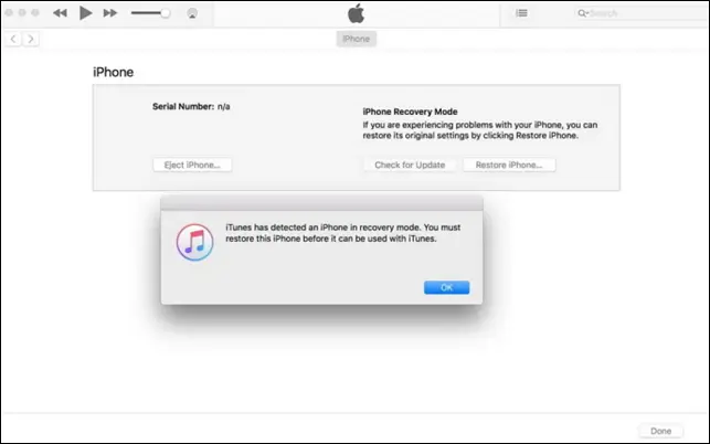 iPhone conectado con iTunes usando el modo DFU
