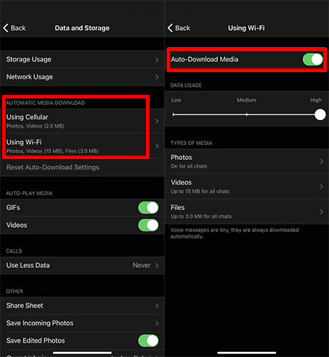 Cómo detener la descarga automática en Telegram en iPhone