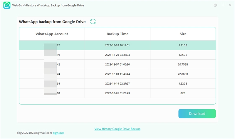 Watsgo Display Google Drive Backup